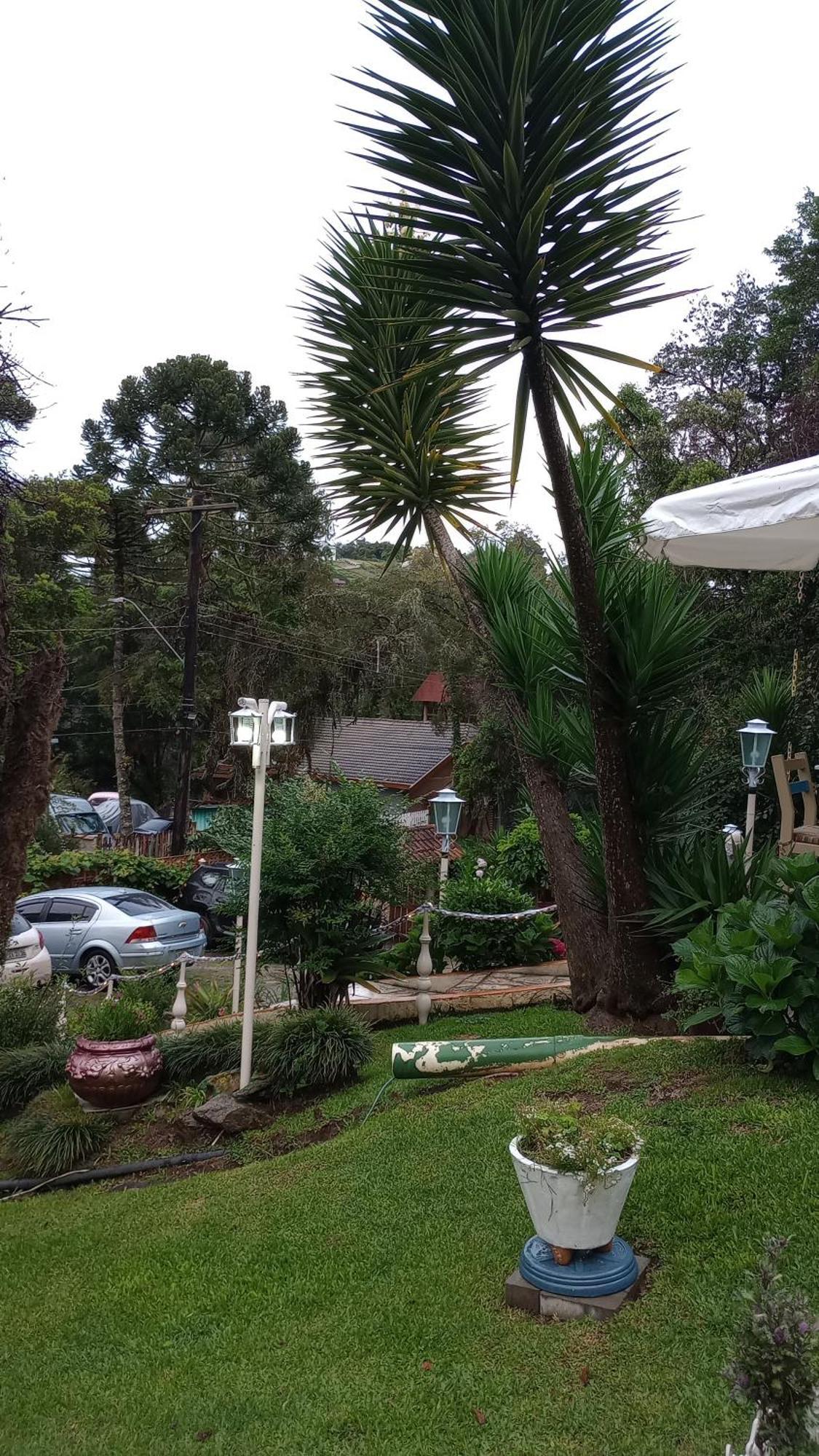 Rancho Da Raposa Ξενοδοχείο Campos do Jordão Εξωτερικό φωτογραφία